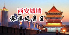 黄色视频免费两个吊玩一个逼中国陕西-西安城墙旅游风景区